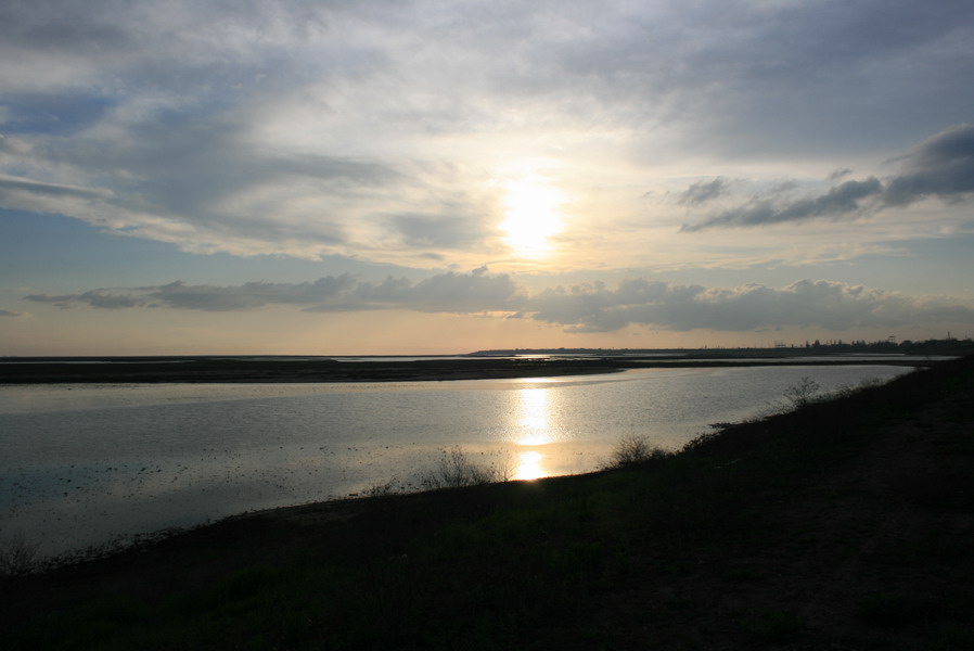 Picture