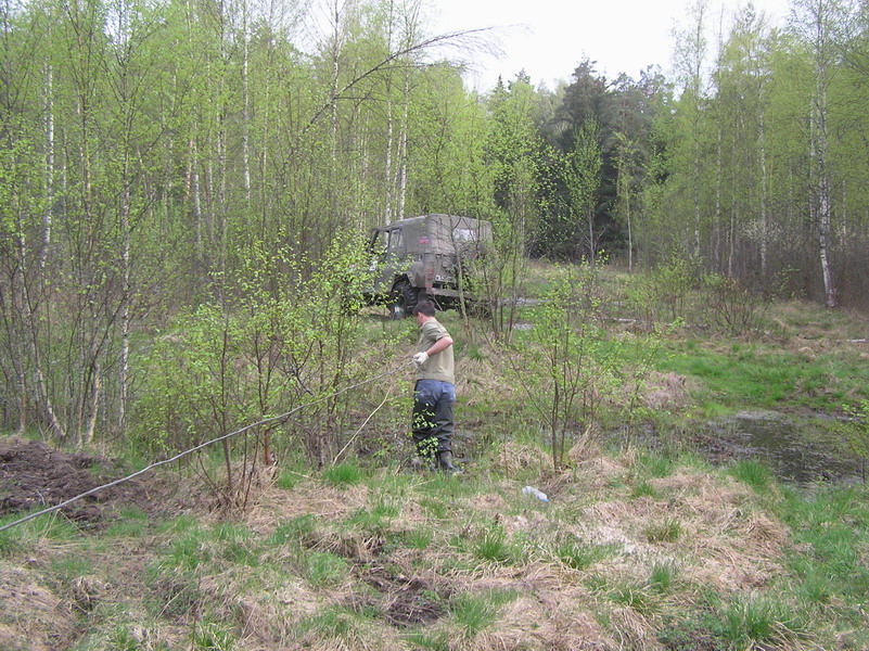Picture